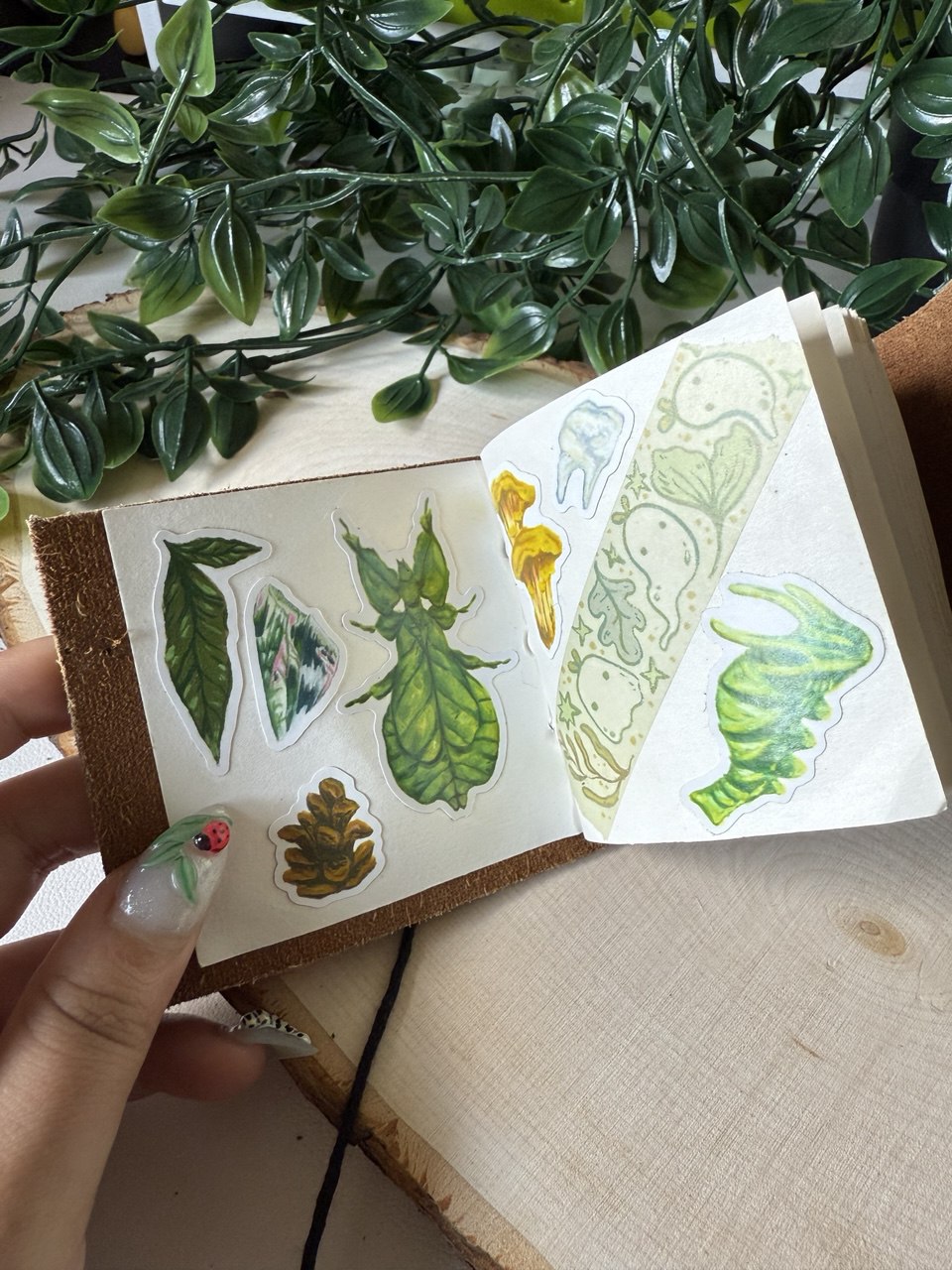 Collections Sticker Sheet