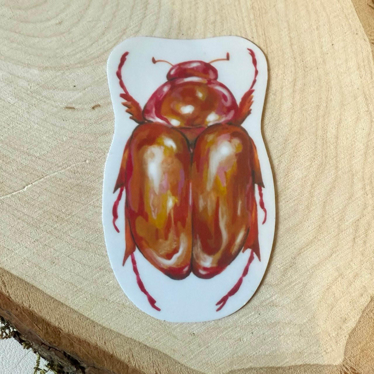 Pride Beetle Sticker