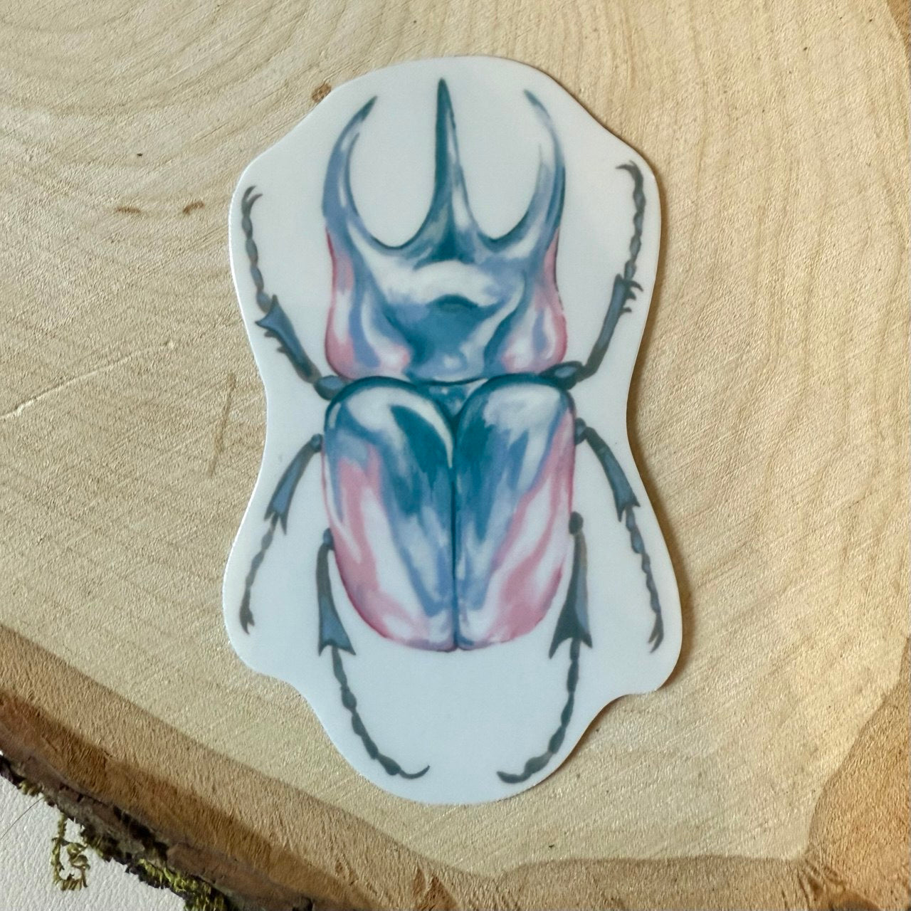 Pride Beetle Sticker