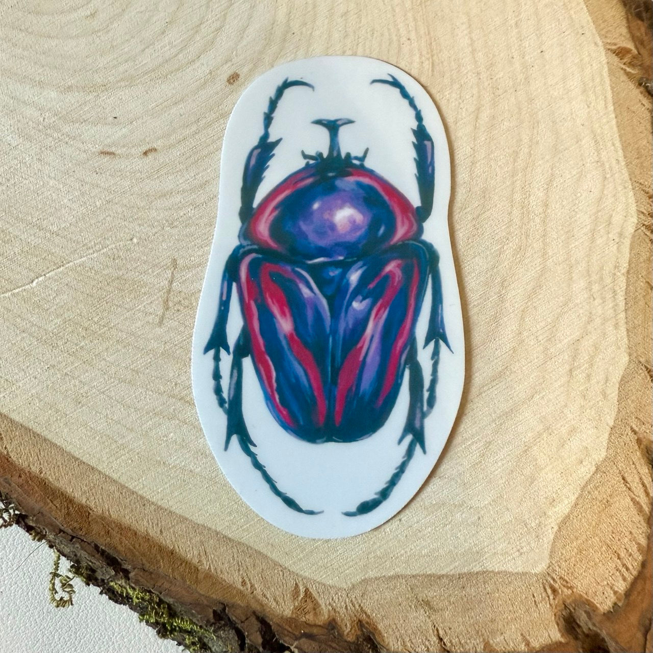 Pride Beetle Sticker