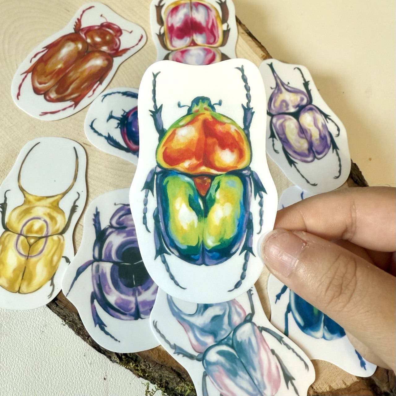 Pride Beetle Sticker