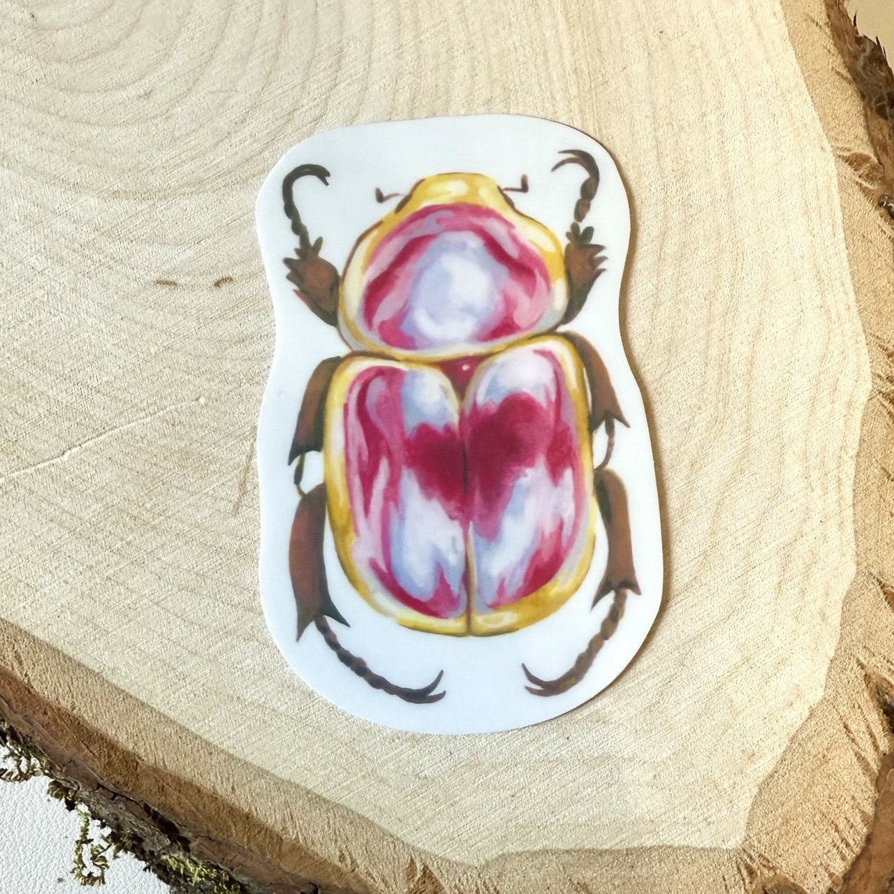 Pride Beetle Sticker