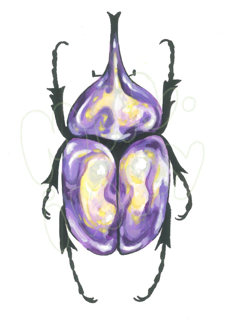 Pride Beetle Print - 5x7