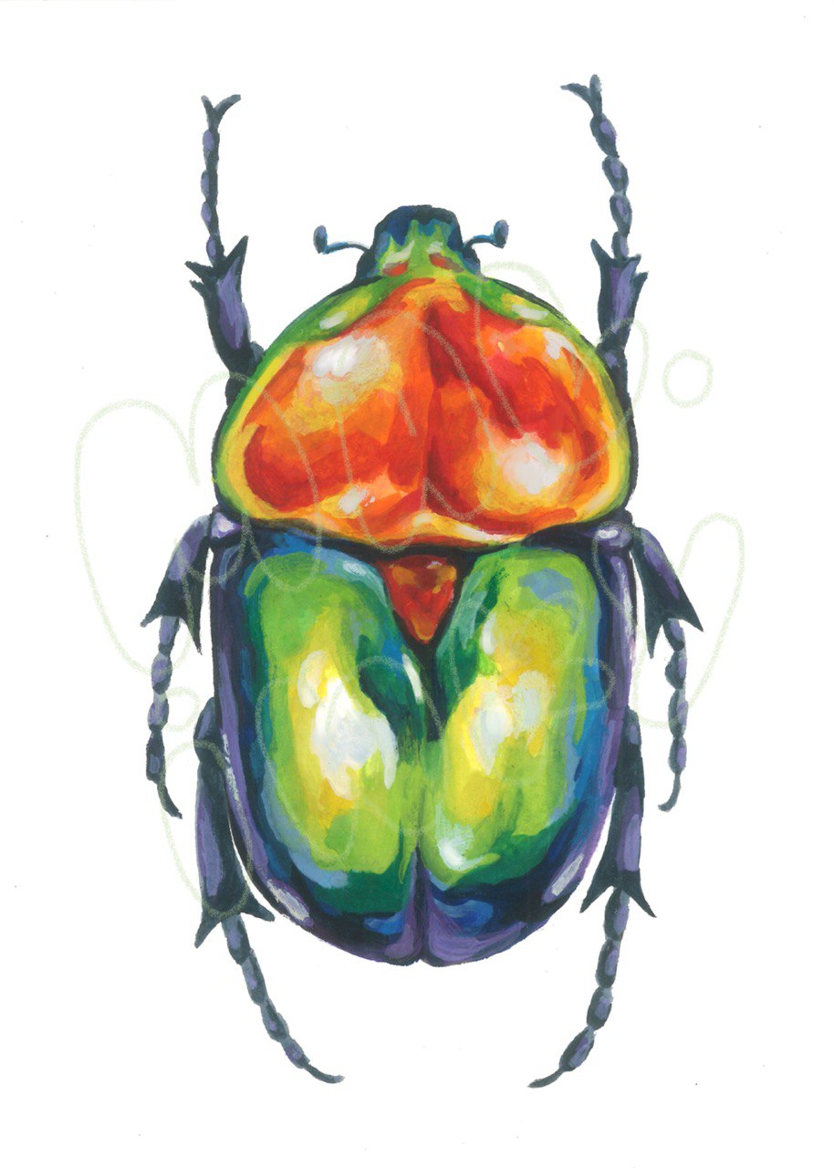 Pride Beetle Print - 5x7