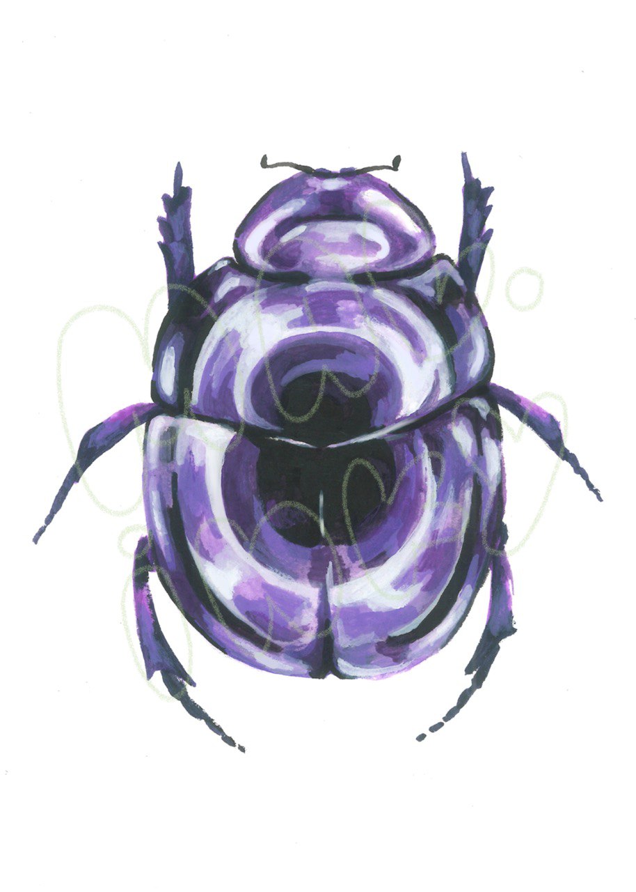 Pride Beetle Print - 5x7