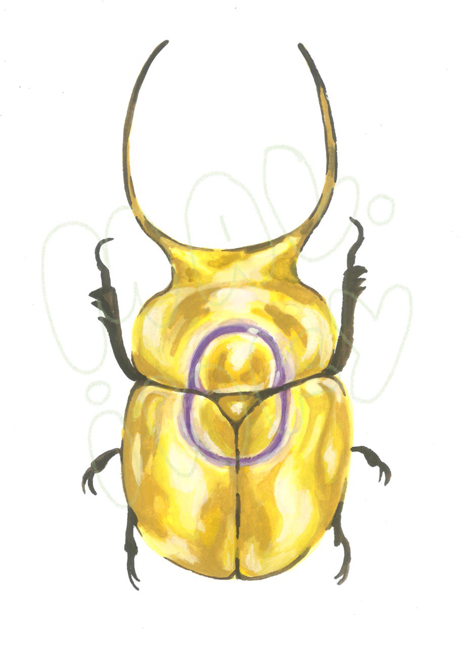 Pride Beetle Print - 5x7