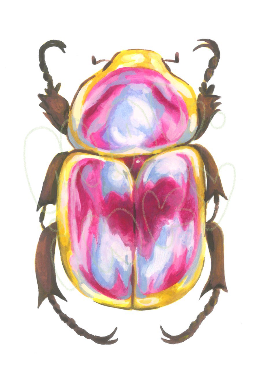 Pride Beetle Print - 5x7