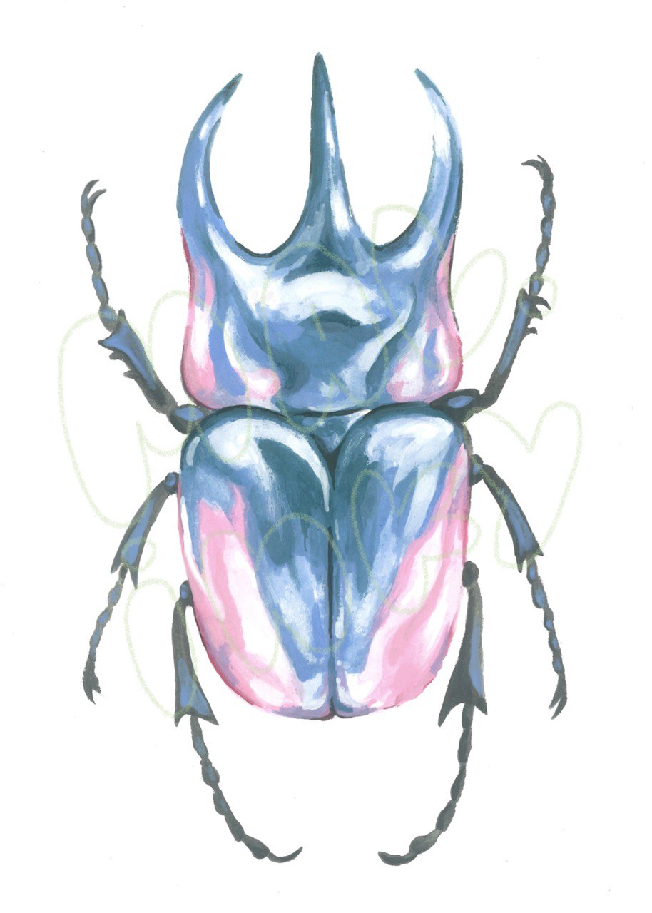 Pride Beetle Print - 5x7