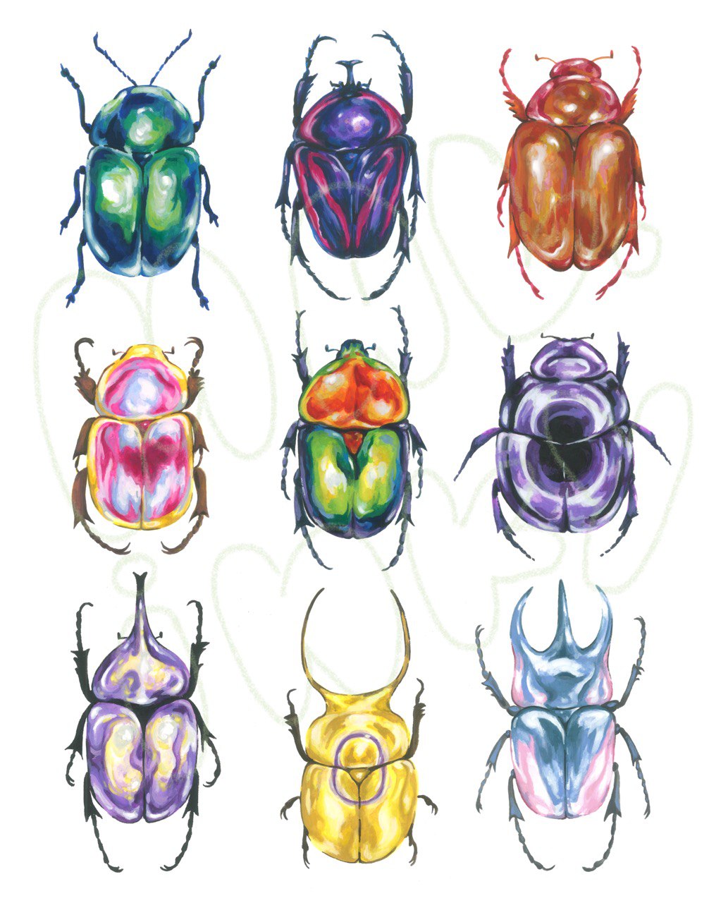 Pride Beetle Poster - 11x14