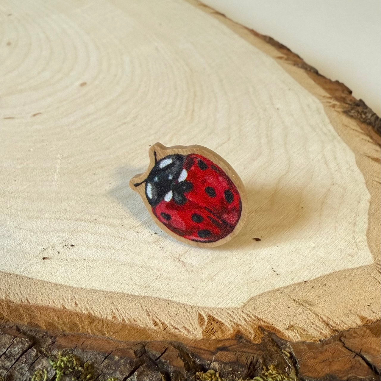 Wooden Bug Pin