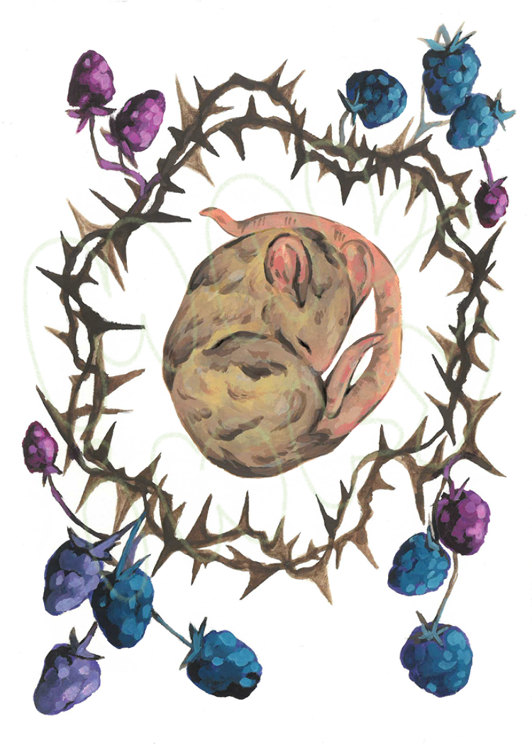 Berry Art Print - 5x7