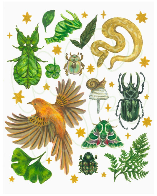 Collection Art Print - 8x10